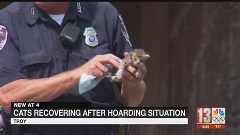 Dozens of cats removed from Troy house